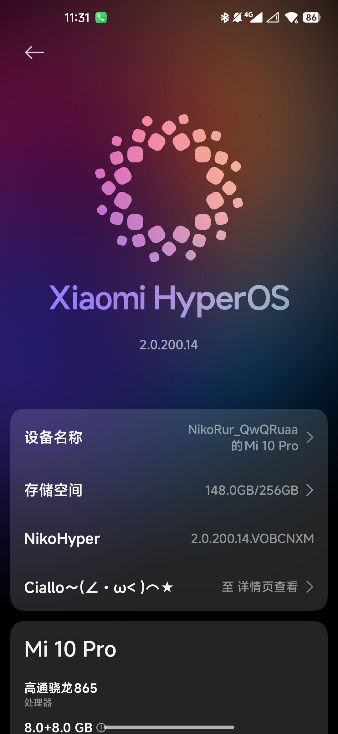 1000031303.jpg