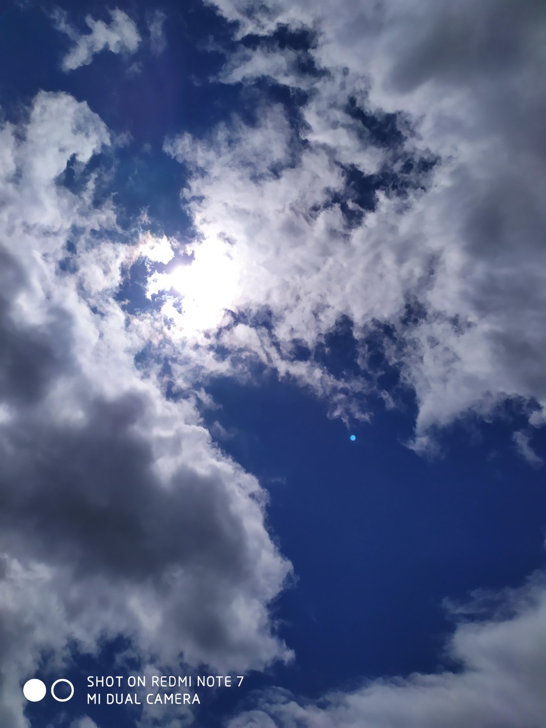 IMG_20190405_115300.jpg