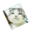 夏铭熙