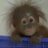 miui_test