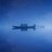 sky1